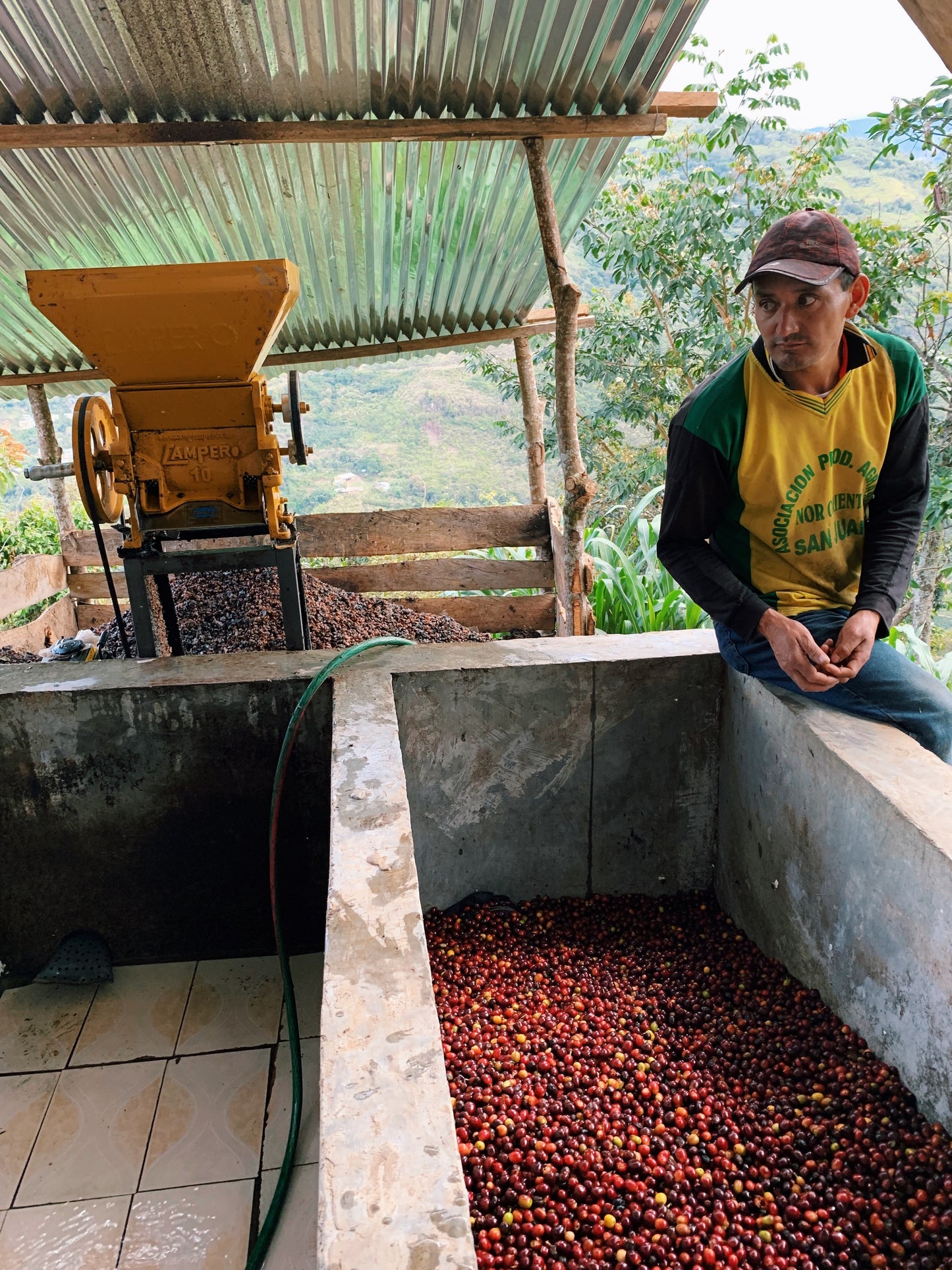 PERU | Espresso | Café del Futuro | Bohnen | 250g